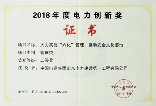 2018年度电力创新奖.png